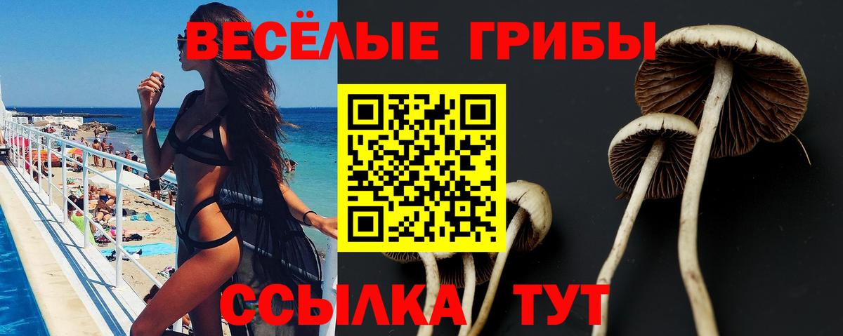 Медногорск  Псилоцибиновые грибы ЛСД  Галлюциногенные грибы Cubensis  наркошоп  Вход с VPN 